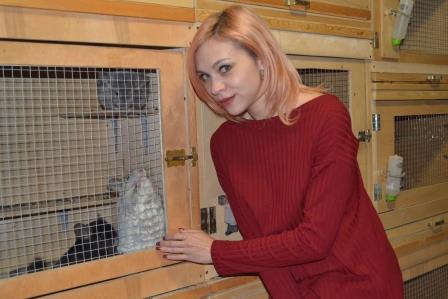 Приглашаю посетить питомник Счастливая Шиншилла Екатеринбург